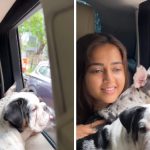 Karan Kundrra’s Hilarious Reaction to Tejasswi Prakash’s Pet Training